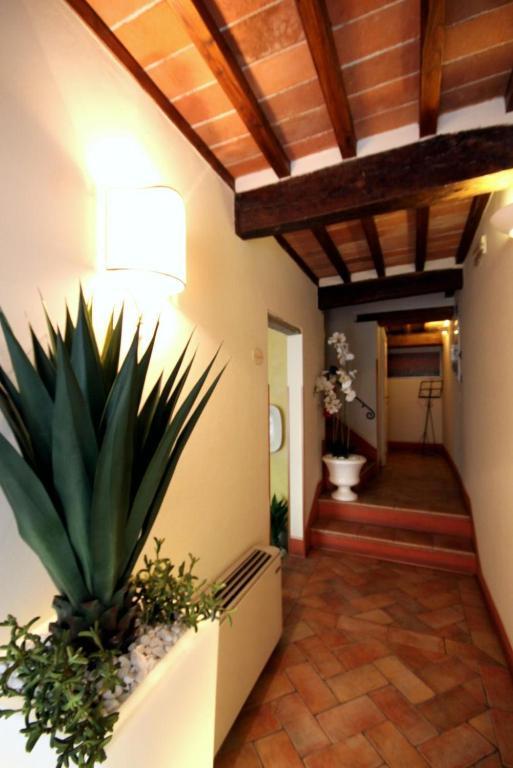 Baldovino Di Monte Bed and Breakfast Monte San Savino Zewnętrze zdjęcie
